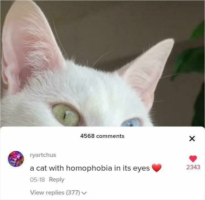 89 Screenshots From TikTok That Might Make You Feel Very Smart
