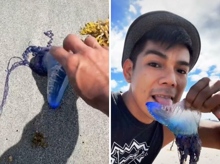 89 Screenshots From TikTok That Might Make You Feel Very Smart