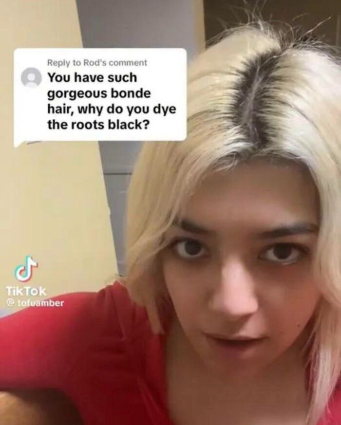 89 Screenshots From TikTok That Might Make You Feel Very Smart