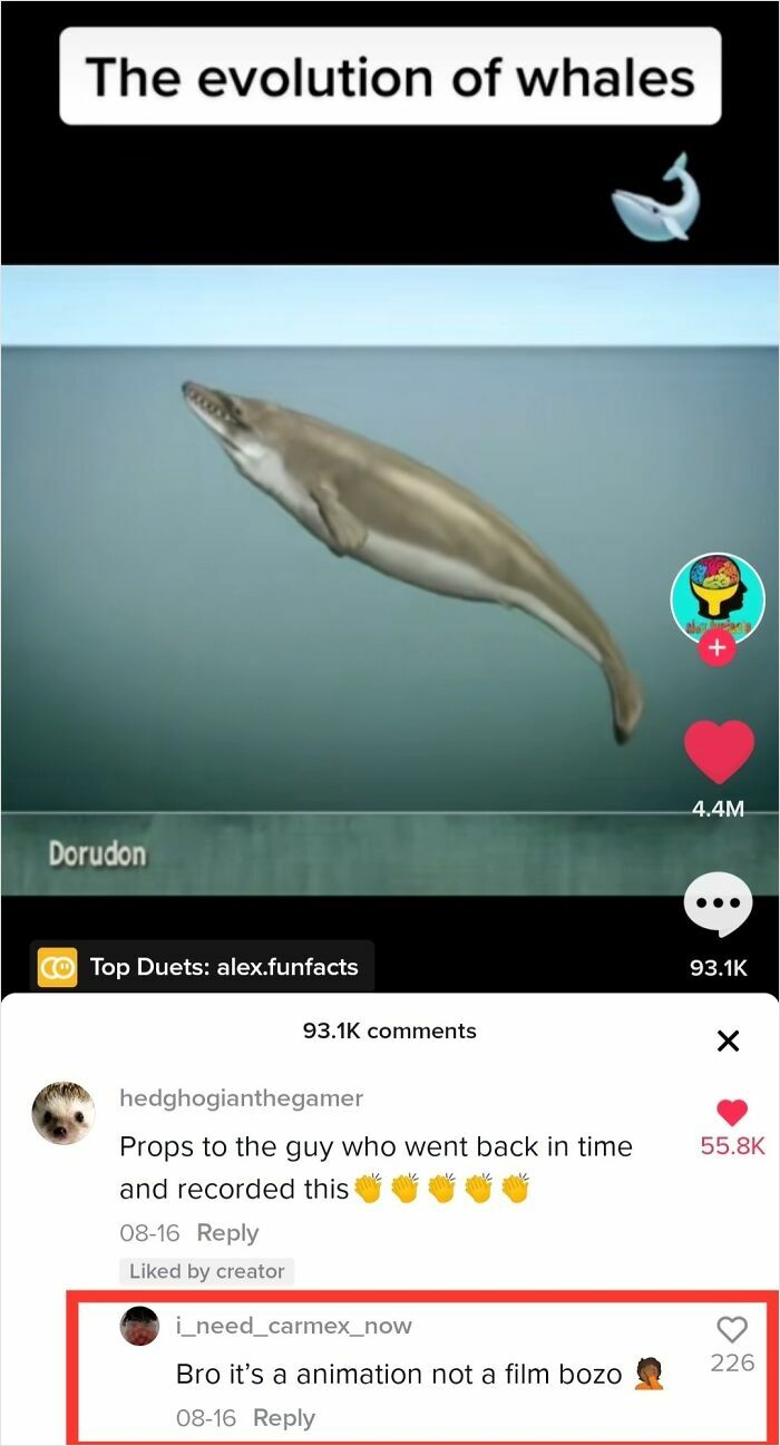 89 Screenshots From TikTok That Might Make You Feel Very Smart
