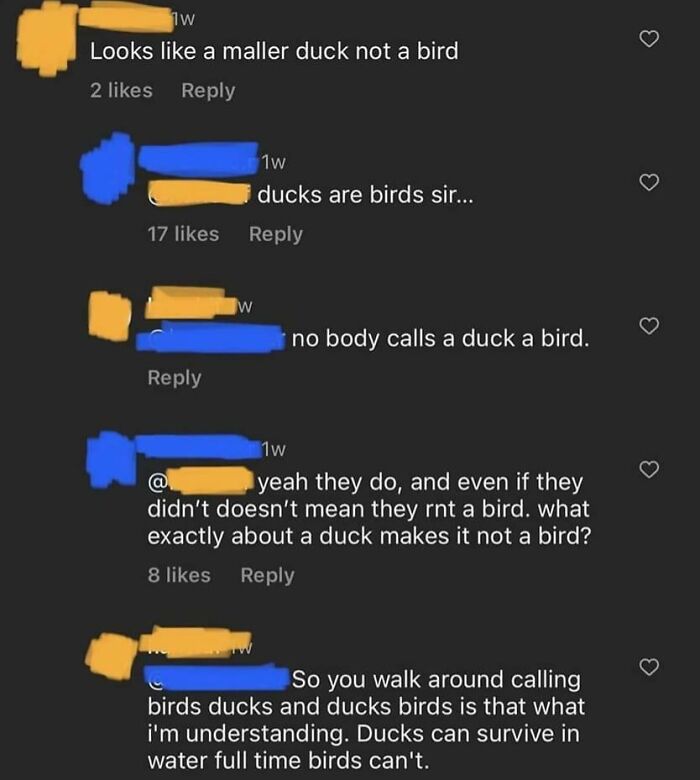 89 Screenshots From TikTok That Might Make You Feel Very Smart