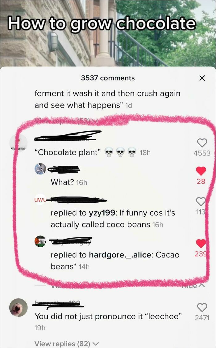 89 Screenshots From TikTok That Might Make You Feel Very Smart