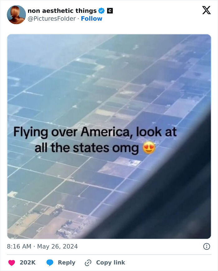 89 Screenshots From TikTok That Might Make You Feel Very Smart