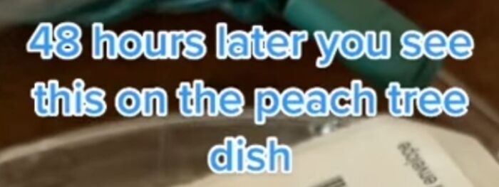 89 Screenshots From TikTok That Might Make You Feel Very Smart