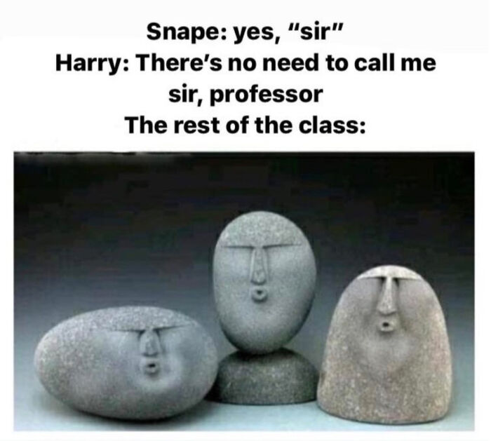 You Don’t Have To Be A Wizard To Laugh At These 35 Harry Potter Memes
