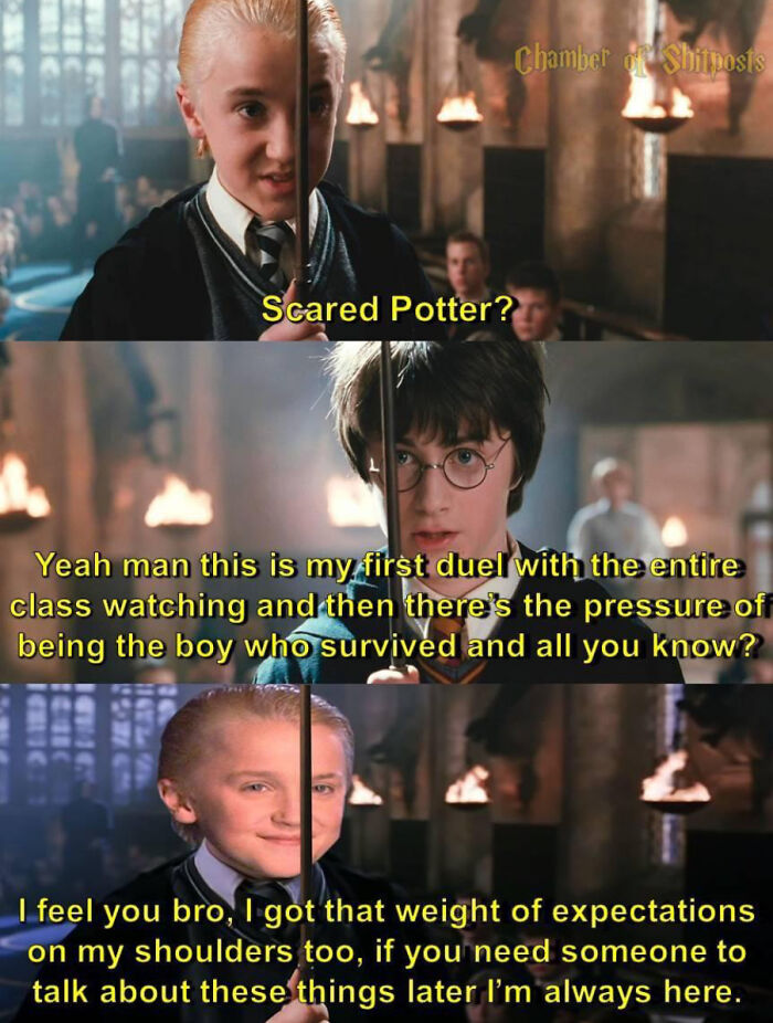 You Don’t Have To Be A Wizard To Laugh At These 35 Harry Potter Memes