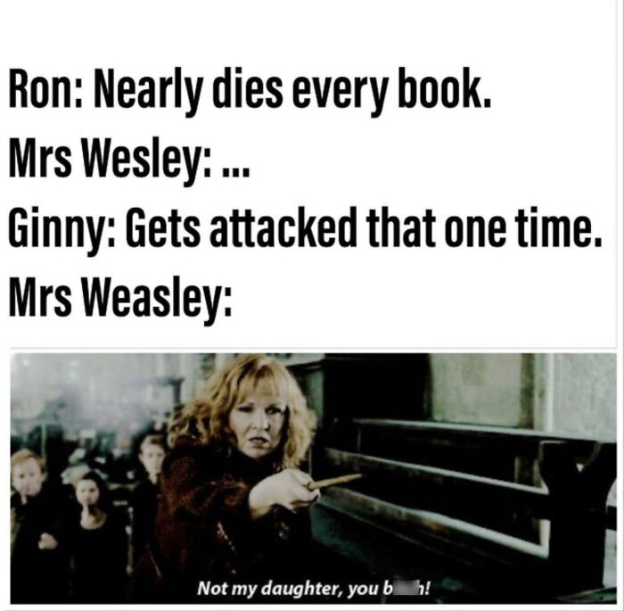 You Don’t Have To Be A Wizard To Laugh At These 35 Harry Potter Memes