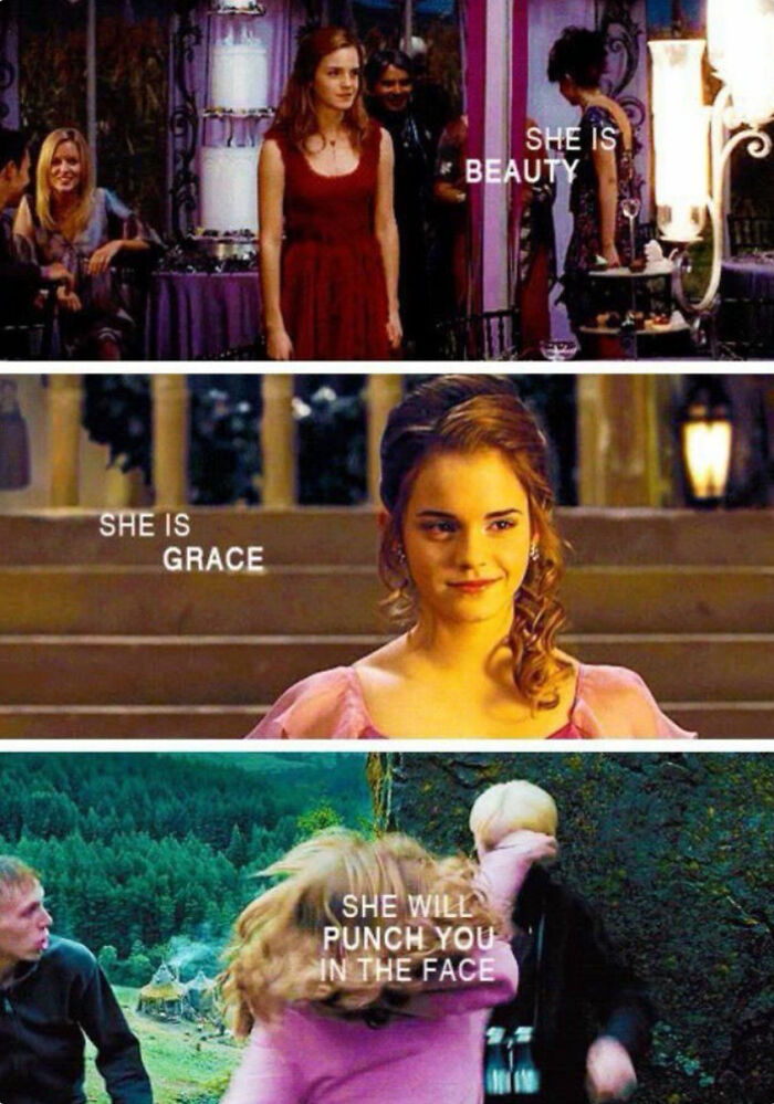 You Don’t Have To Be A Wizard To Laugh At These 35 Harry Potter Memes