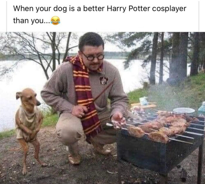 You Don’t Have To Be A Wizard To Laugh At These 35 Harry Potter Memes