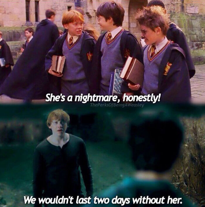 You Don’t Have To Be A Wizard To Laugh At These 35 Harry Potter Memes