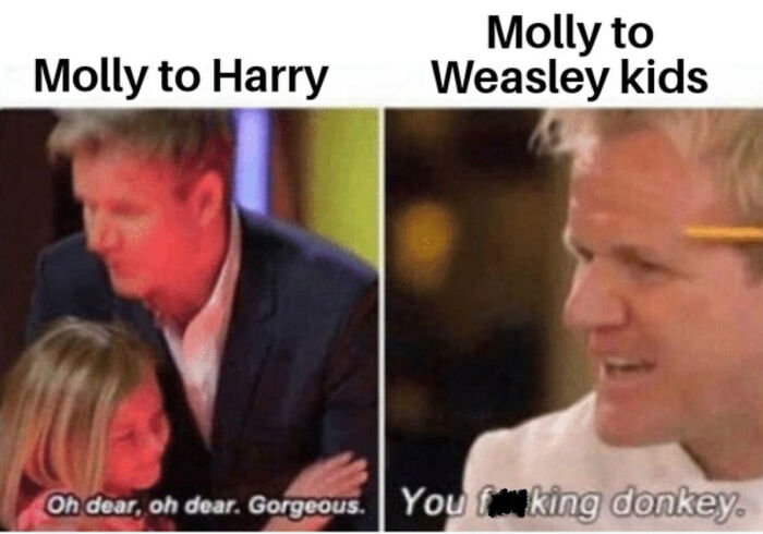You Don’t Have To Be A Wizard To Laugh At These 35 Harry Potter Memes