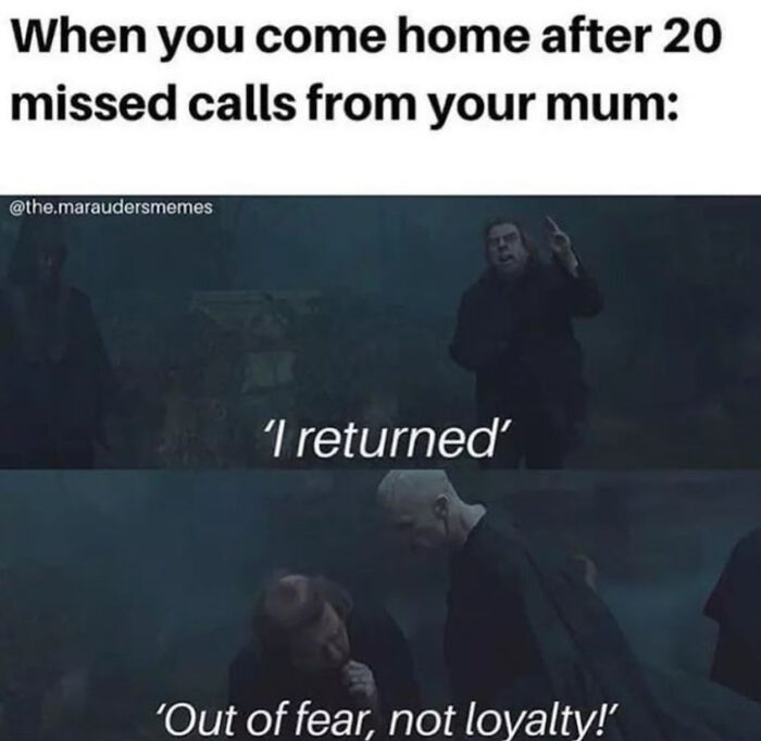 You Don’t Have To Be A Wizard To Laugh At These 35 Harry Potter Memes