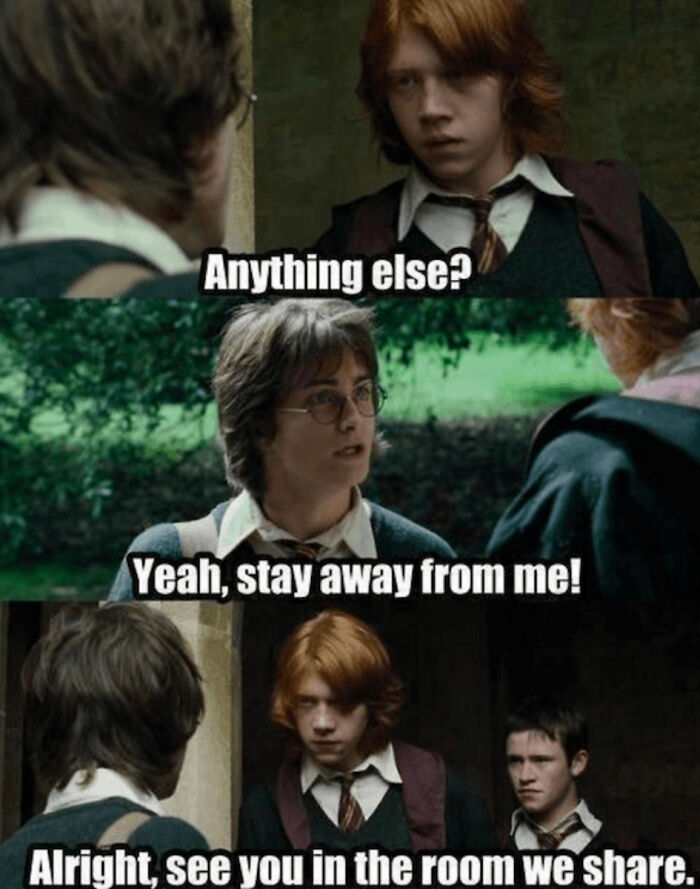 You Don’t Have To Be A Wizard To Laugh At These 35 Harry Potter Memes
