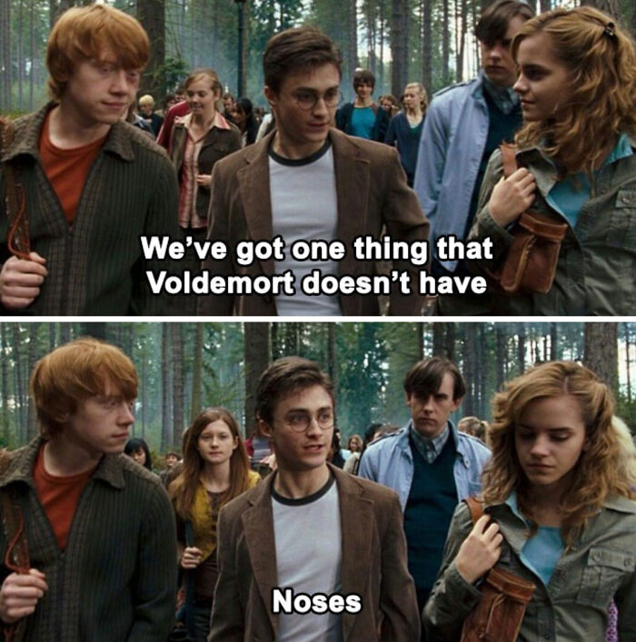 You Don’t Have To Be A Wizard To Laugh At These 35 Harry Potter Memes