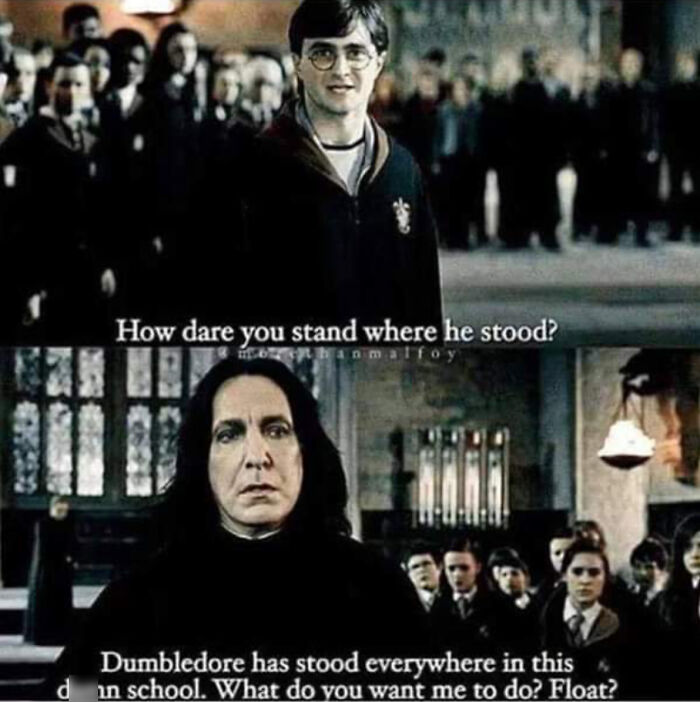 You Don’t Have To Be A Wizard To Laugh At These 35 Harry Potter Memes