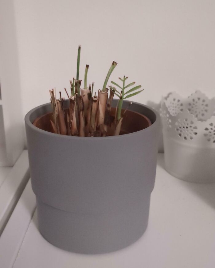 74 Enraging Photos That Show What Awful Roommates People Have To Deal With