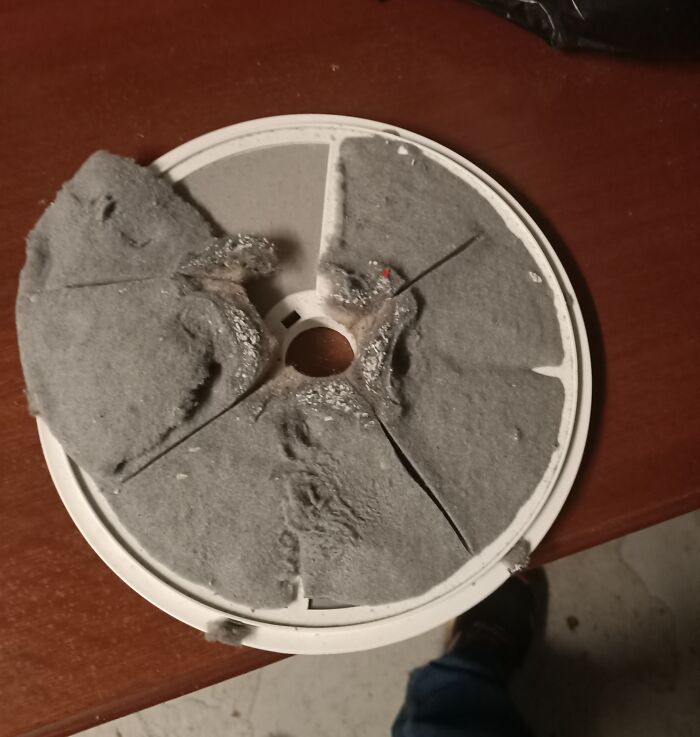 74 Enraging Photos That Show What Awful Roommates People Have To Deal With