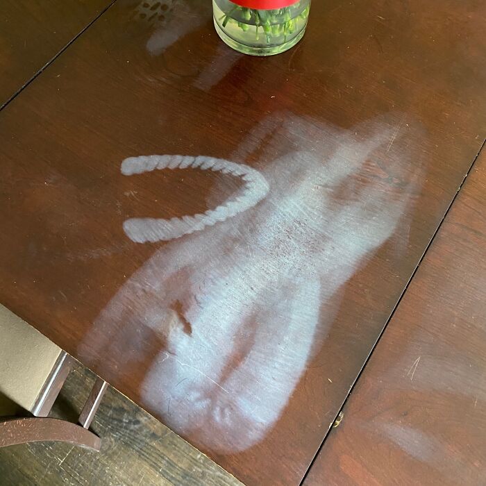 74 Enraging Photos That Show What Awful Roommates People Have To Deal With