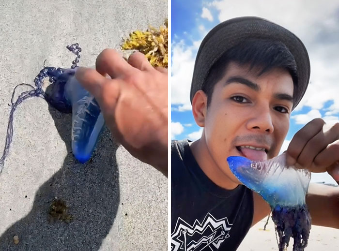47 Influencers That Were Being So Ridiculous, People Had To Call Them Out