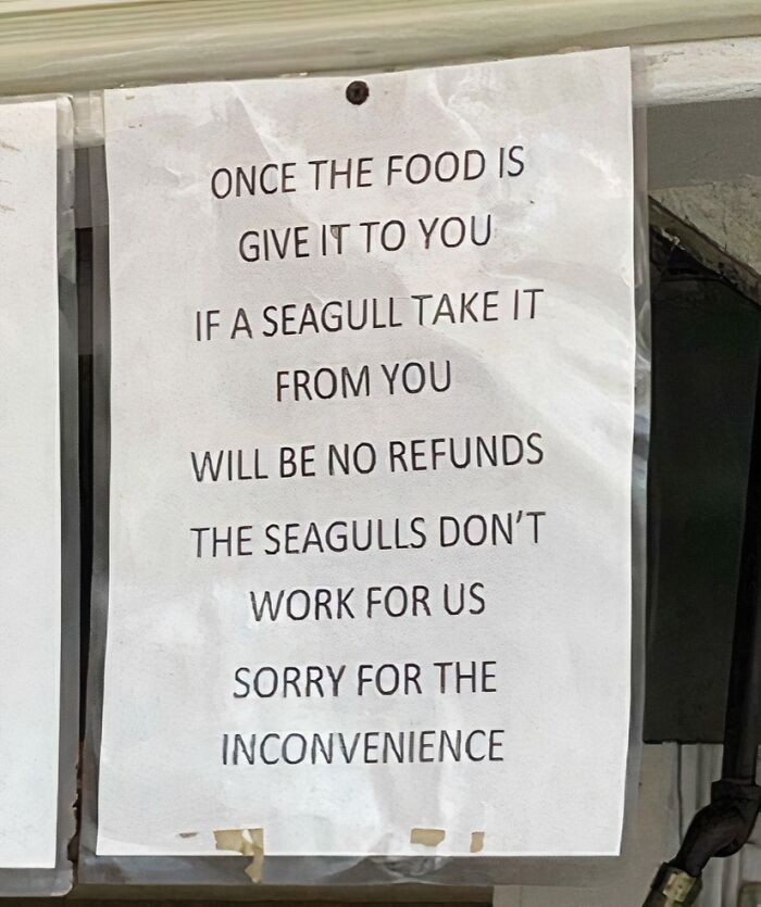 92 Hilariously Random Notes, Signs, And Messages That Remind Us Not To Take Life Too Seriously