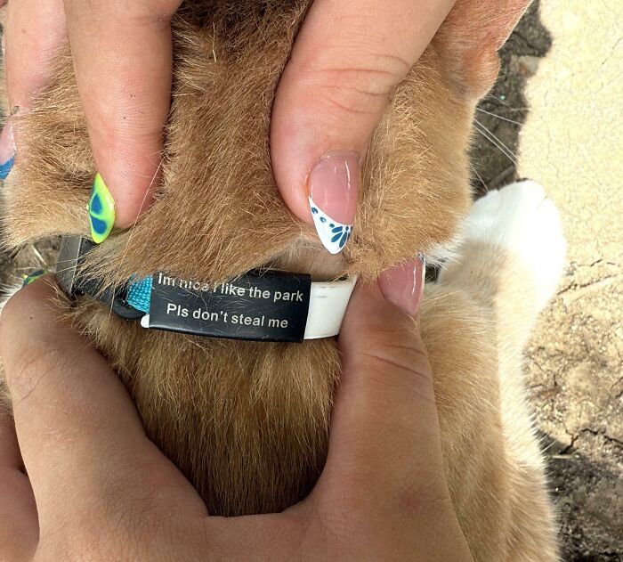 92 Hilariously Random Notes, Signs, And Messages That Remind Us Not To Take Life Too Seriously