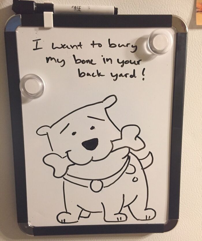 92 Hilariously Random Notes, Signs, And Messages That Remind Us Not To Take Life Too Seriously