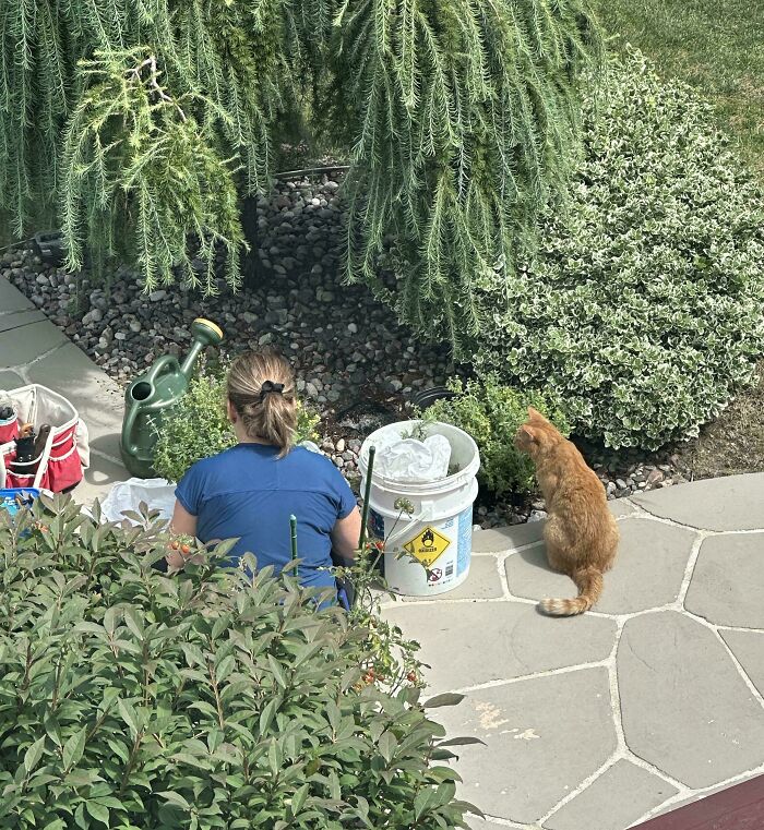76 Happiness-Inducing Pics Of Moms Being Their Amazing Wholesome Selves (New Pics)