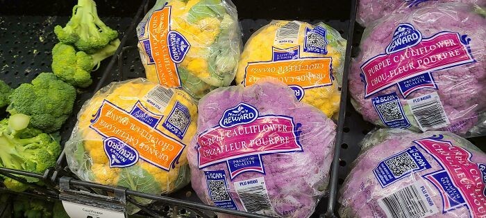“Of Course That’s A Thing”: 89 Of The Most Nonsensical Things That Actually Exist (New Pics)