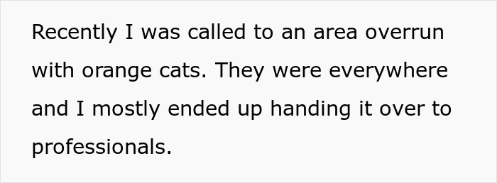 Non-Profit Worker Neuters Clearly Owned Cat Found Roaming, Shocked When Owners Get Livid