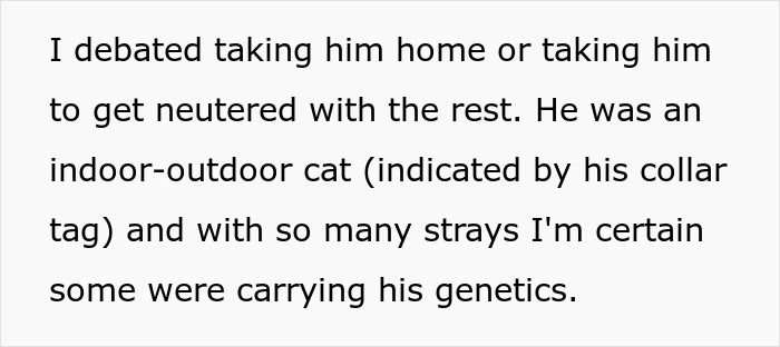 Non-Profit Worker Neuters Clearly Owned Cat Found Roaming, Shocked When Owners Get Livid