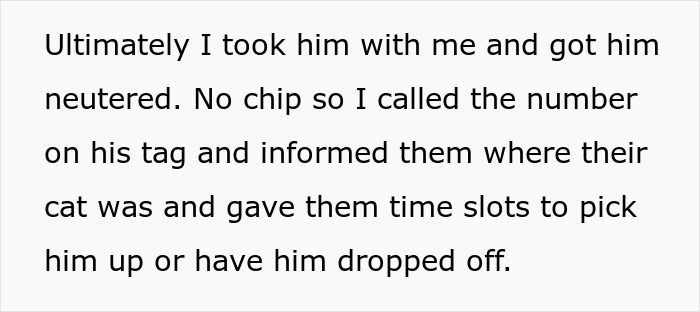 Non-Profit Worker Neuters Clearly Owned Cat Found Roaming, Shocked When Owners Get Livid