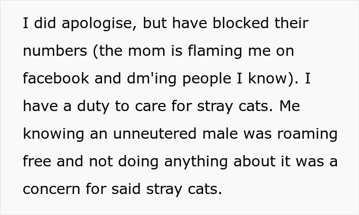 Non-Profit Worker Neuters Clearly Owned Cat Found Roaming, Shocked When Owners Get Livid