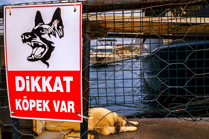 I Captured 30 Photos Revealing The Spirit Of Istanbul