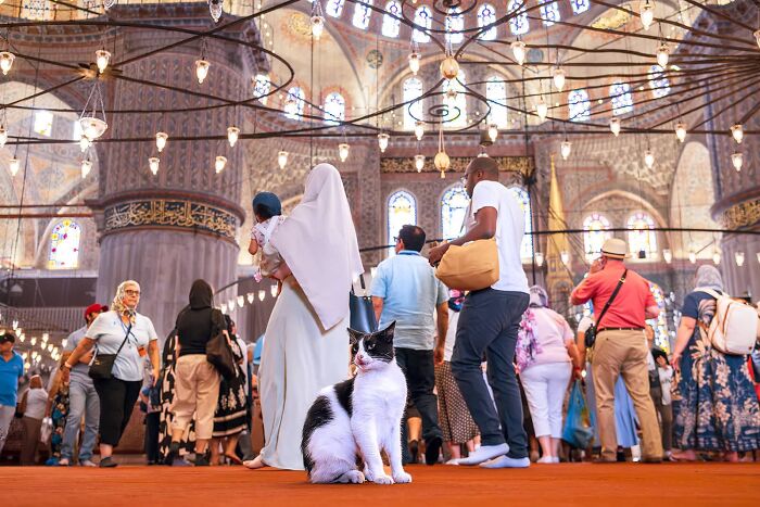 I Captured 30 Photos Revealing The Spirit Of Istanbul