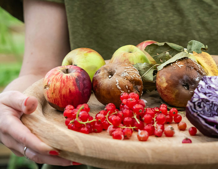 “I Won”: Woman Finds A Way To Be Permanently Uninvited From MIL’s Dinners With Spoiled Food