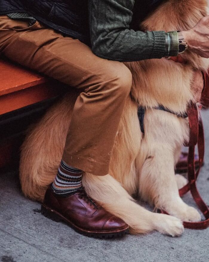 40 Street Shots By Marina Nota That Turn Ordinary Moments Into Magic