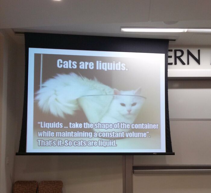 80 Funny Teachers Who Deserve An A+ For Their Sense Of Humor (New Pics)