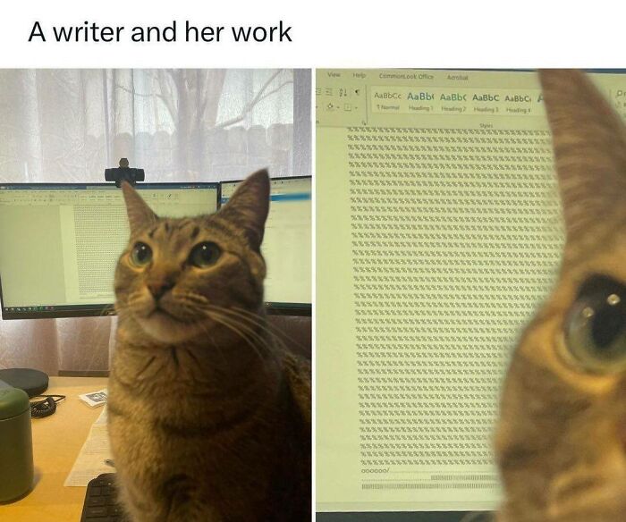 141 Of The Most Adorable Cats That Need A Raise For Their Top-Tier Work (New Pics)