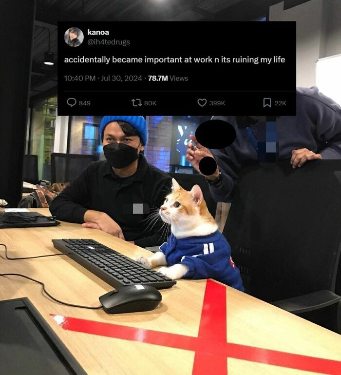 141 Of The Most Adorable Cats That Need A Raise For Their Top-Tier Work (New Pics)