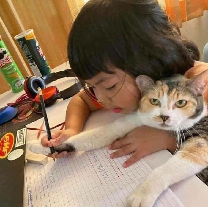 141 Of The Most Adorable Cats That Need A Raise For Their Top-Tier Work (New Pics)