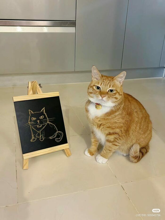 141 Of The Most Adorable Cats That Need A Raise For Their Top-Tier Work (New Pics)