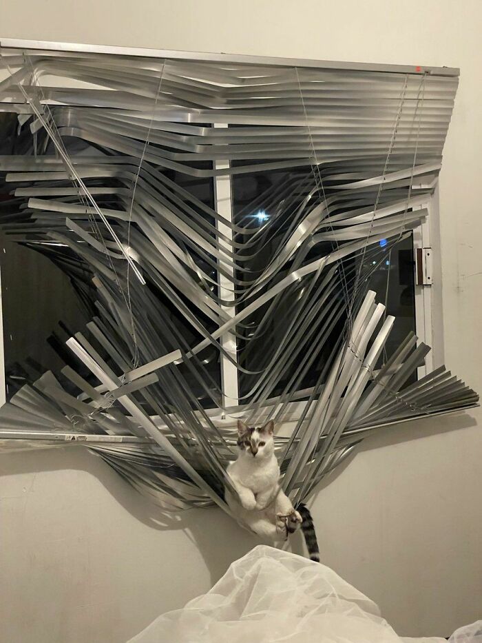 141 Of The Most Adorable Cats That Need A Raise For Their Top-Tier Work (New Pics)