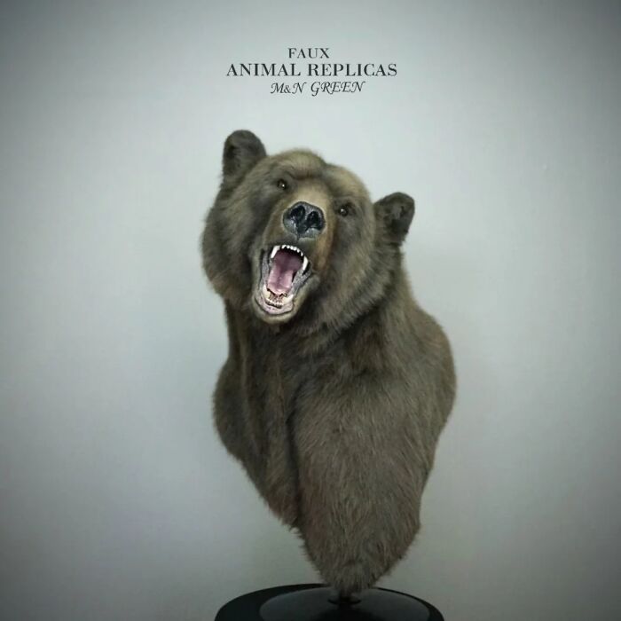 These Two Artists From Armenia Create Lifelike Animal Replicas With Synthetic Materials (15 Pics)