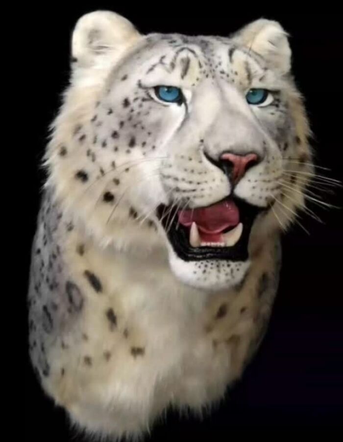 These Two Artists From Armenia Create Lifelike Animal Replicas With Synthetic Materials (15 Pics)