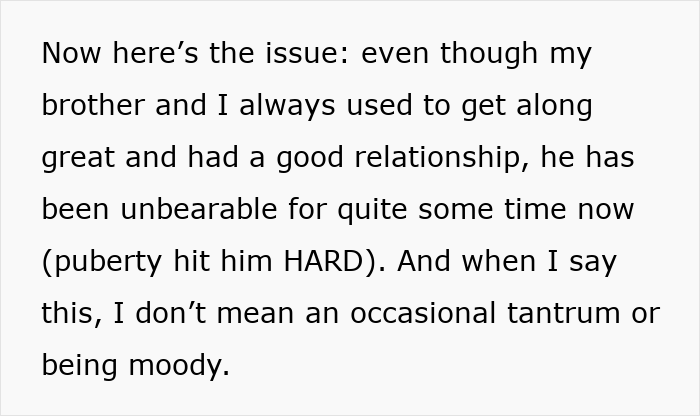 22YO Sis Refuses To Babysit Badly Behaved Brother While Parents Vacay, Dad Flips Out On Her
