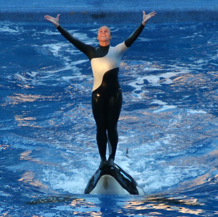 10 Famous People Whose Lives Were Cut Short By Animals