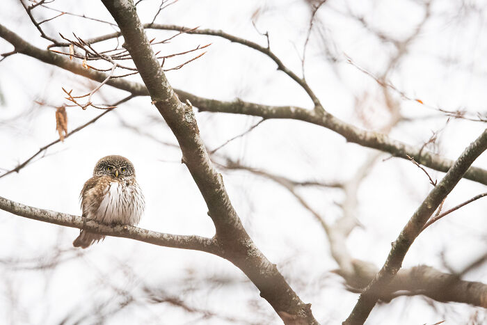 This Photographer Captures The Beauty Of Wildlife And Nature, And Here Are His 50 Best Shots