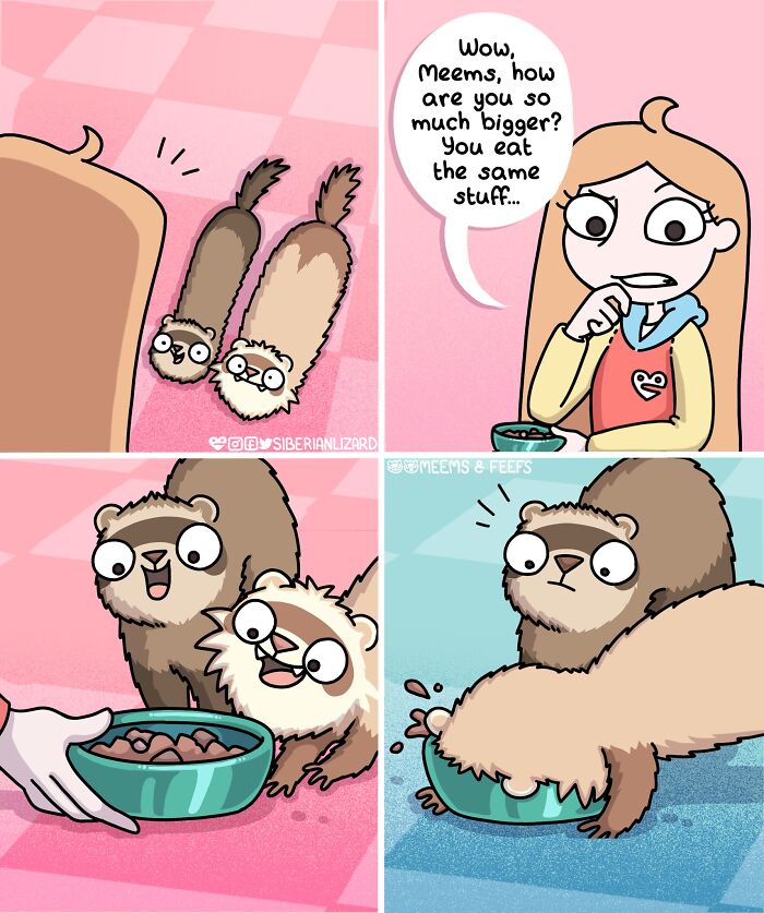 Siberian Girl Illustrates Her Daily Life With Two Ferrets And Other Funny Situations (50 New Pics)
