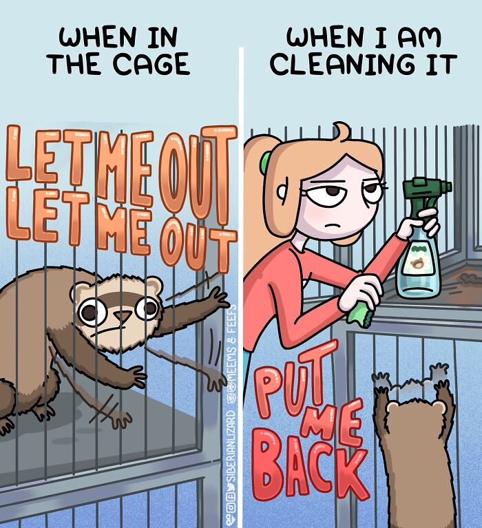 Siberian Girl Illustrates Her Daily Life With Two Ferrets And Other Funny Situations (50 New Pics)