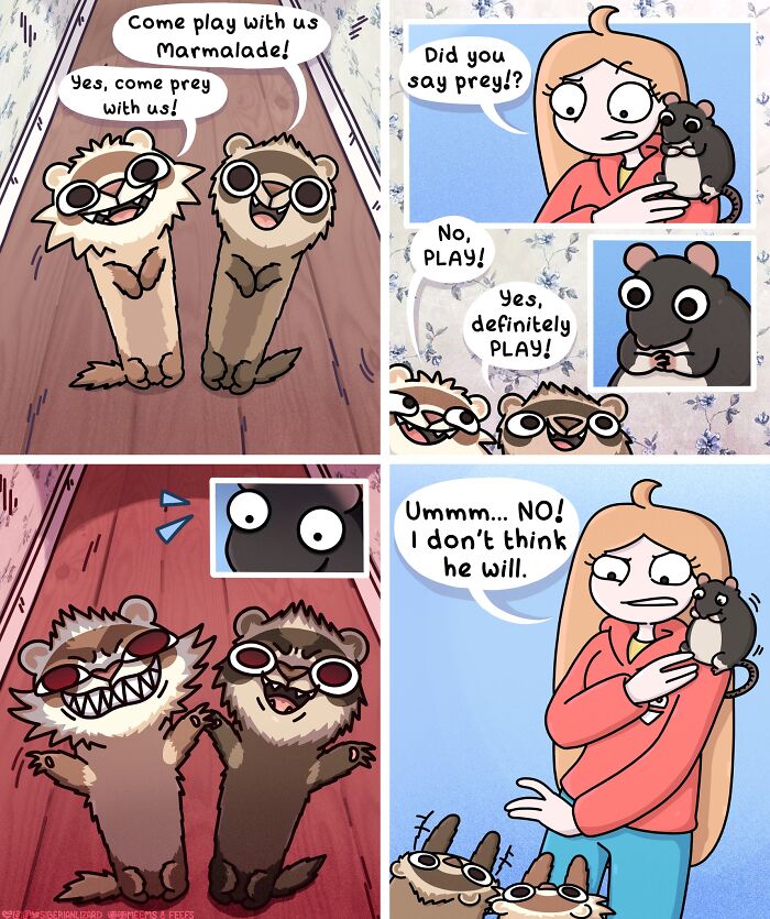 Siberian Girl Illustrates Her Daily Life With Two Ferrets And Other Funny Situations (50 New Pics)